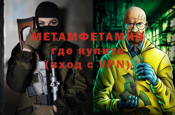 ПСИЛОЦИБИНОВЫЕ ГРИБЫ Вяземский
