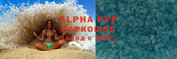 ПСИЛОЦИБИНОВЫЕ ГРИБЫ Вяземский