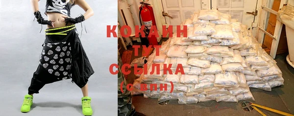 ПСИЛОЦИБИНОВЫЕ ГРИБЫ Вяземский
