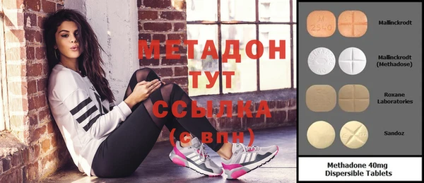 ПСИЛОЦИБИНОВЫЕ ГРИБЫ Вяземский