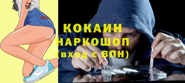 ПСИЛОЦИБИНОВЫЕ ГРИБЫ Вяземский