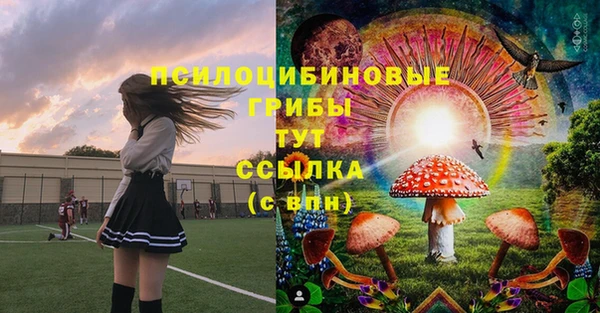 соль ск Вязники