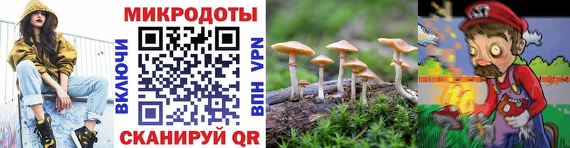 Галлюциногенные грибы мухоморы  цена наркотик  Олёкминск 